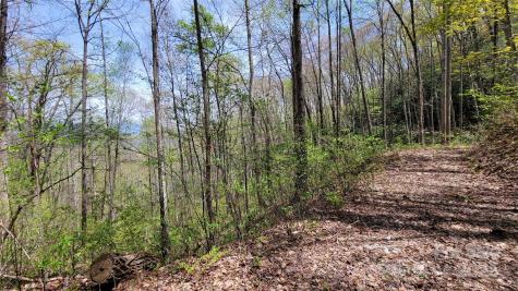 28 Lacy Fern Ridge Sylva NC 28779