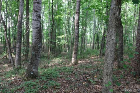 Lot 21 Commercial Drive Forest City NC 28043