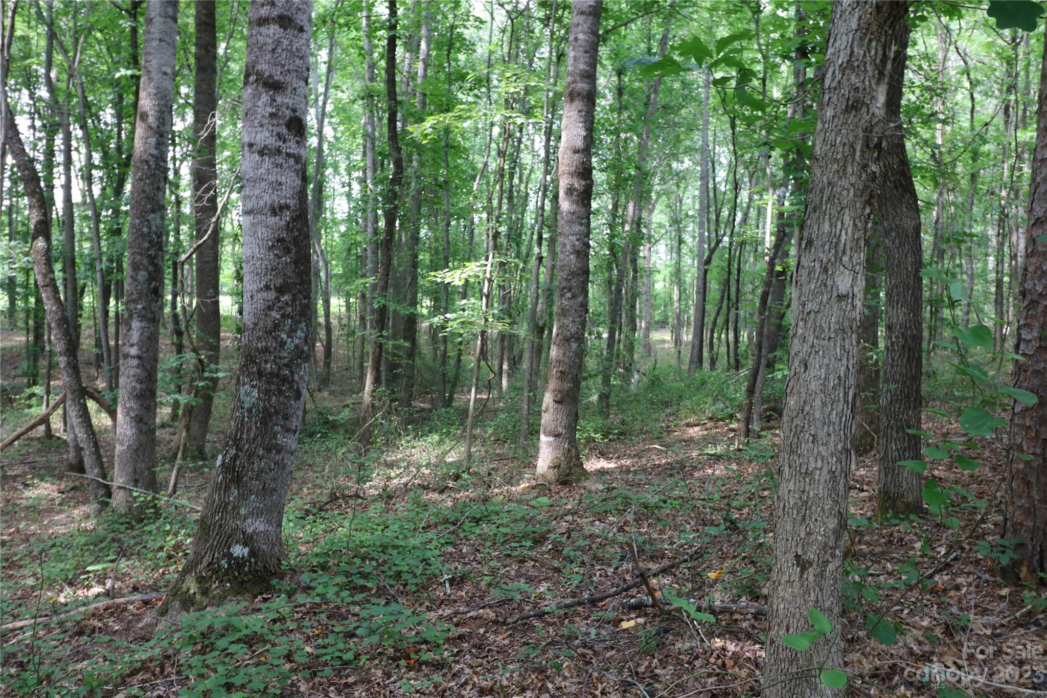 Lot 21 Commercial Drive Forest City NC 28043