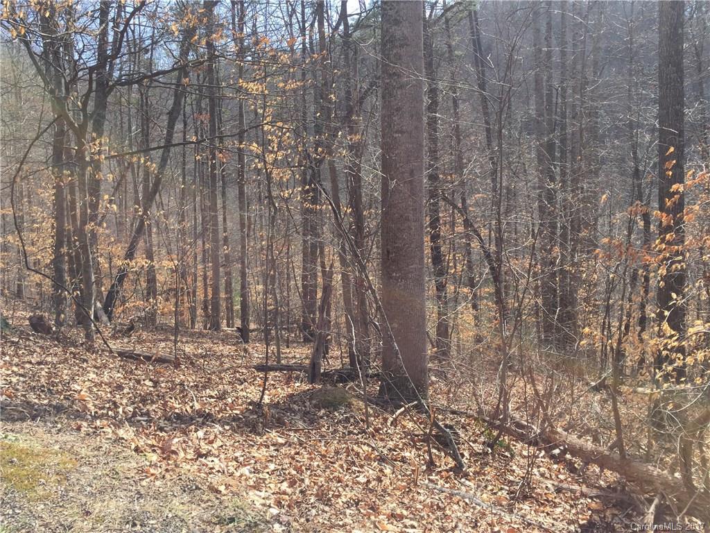 90 Sweet Brook Drive Weaverville NC 28787