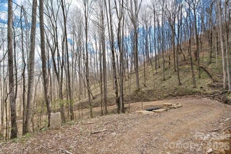 23 Forbidden Cove Waynesville NC 28785