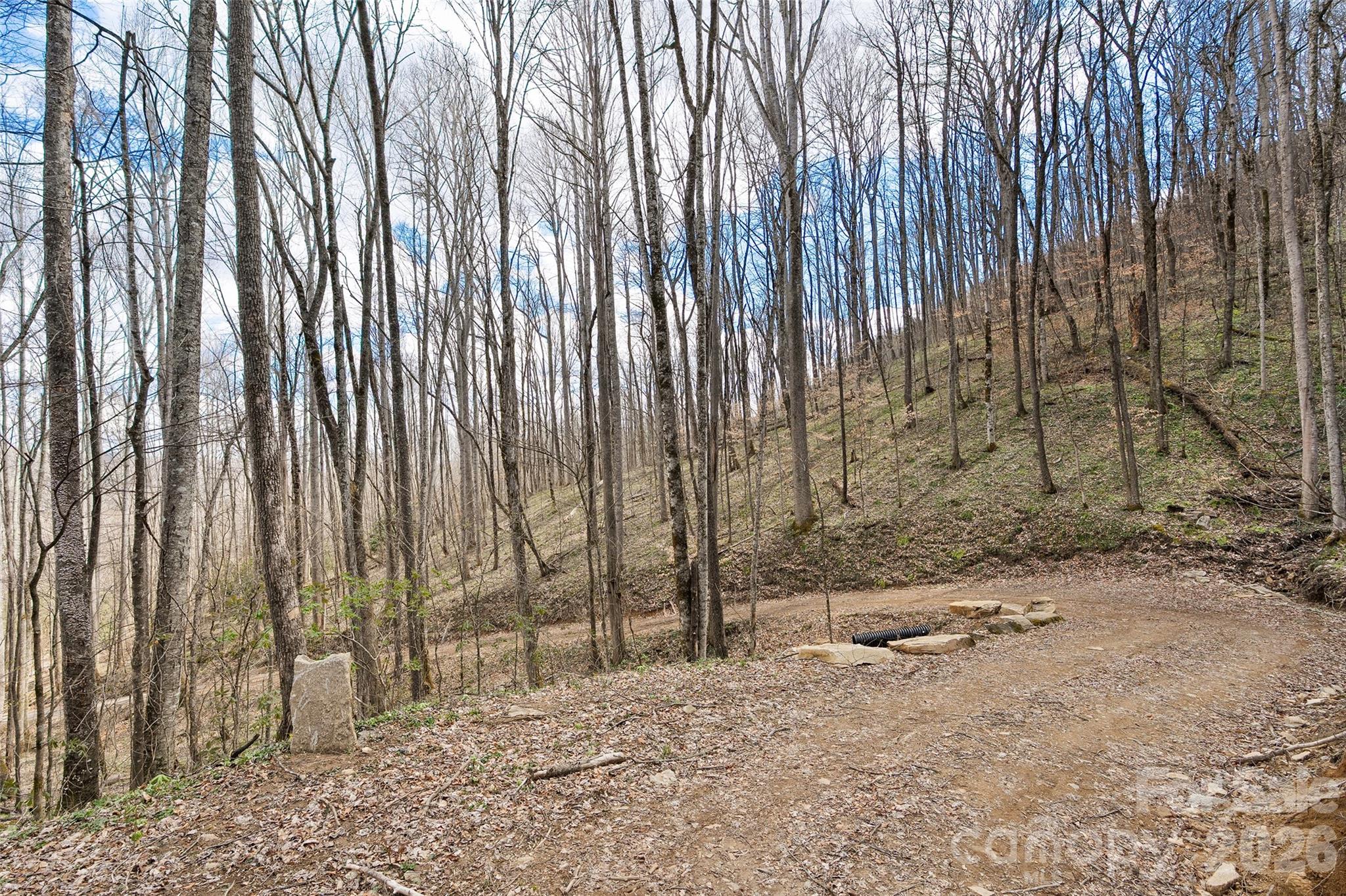23 Forbidden Cove Waynesville NC 28785