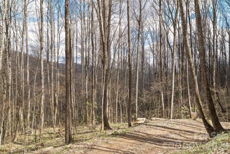 23 Forbidden Cove Waynesville NC 28785