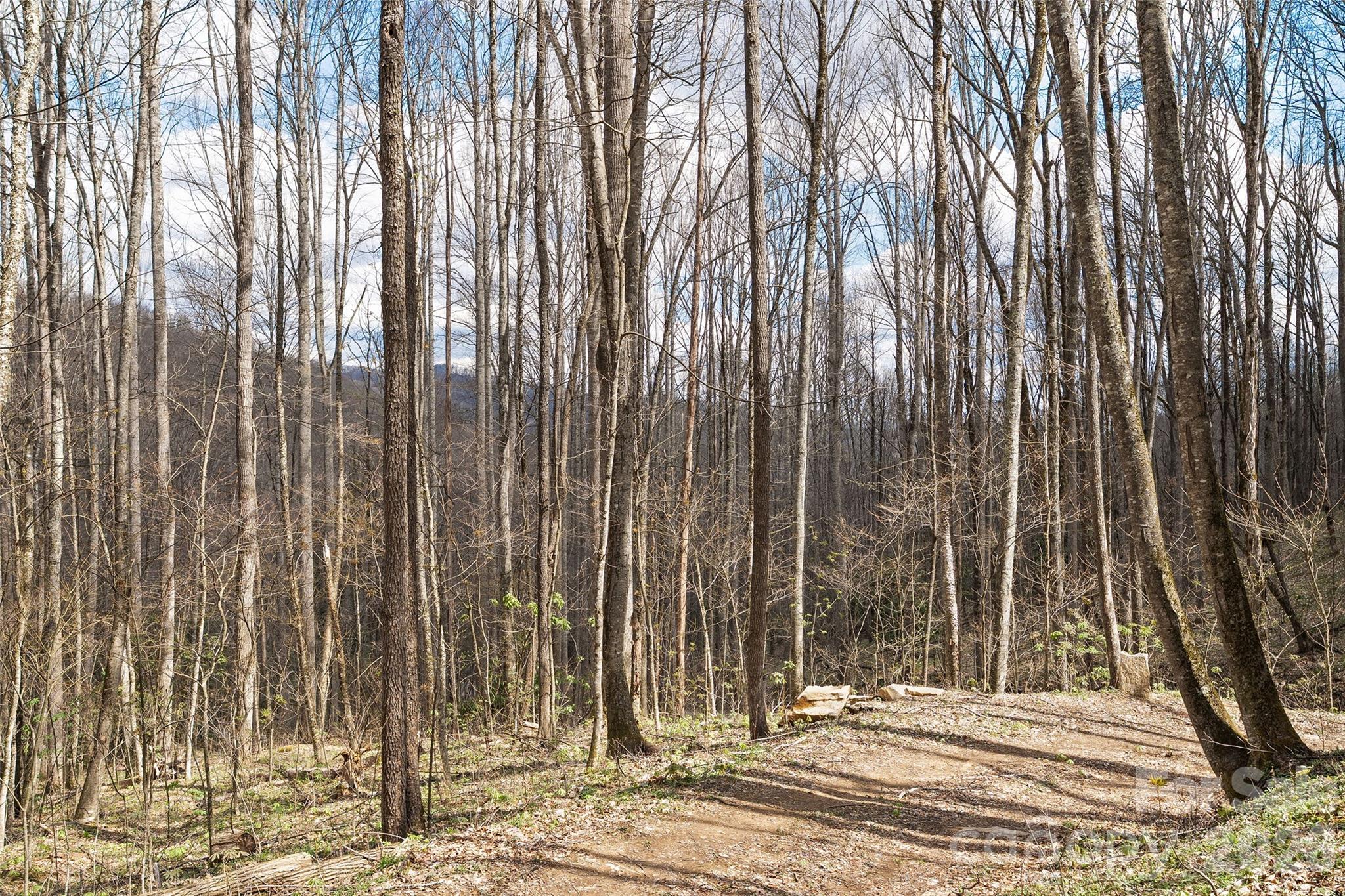 23 Forbidden Cove Waynesville NC 28785