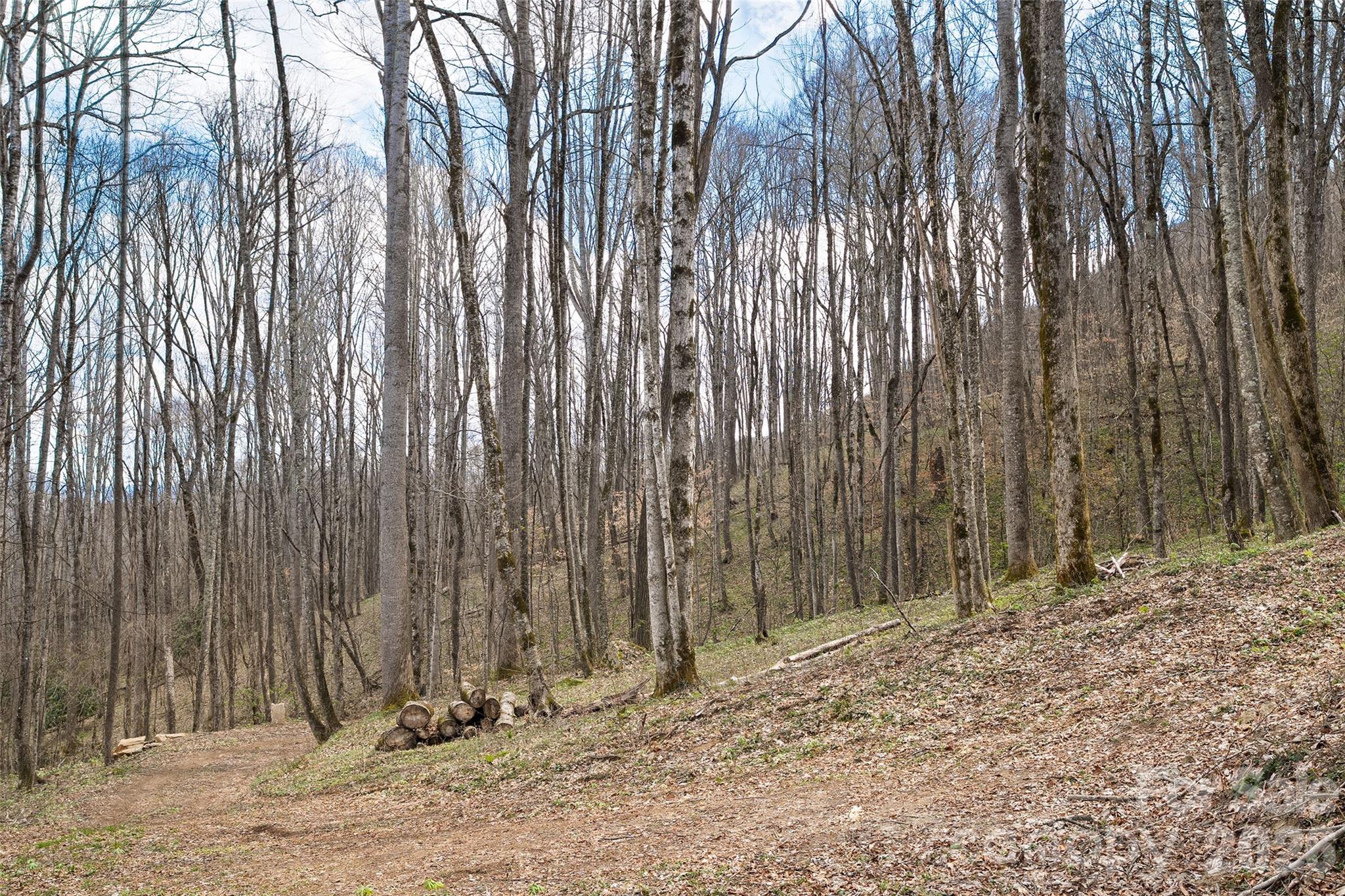 23 Forbidden Cove Waynesville NC 28785