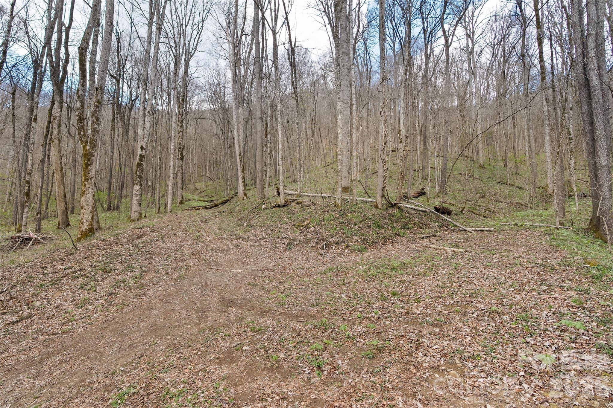 23 Forbidden Cove Waynesville NC 28785
