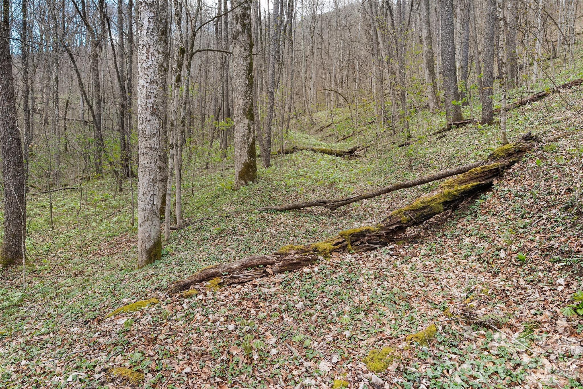 23 Forbidden Cove Waynesville NC 28785