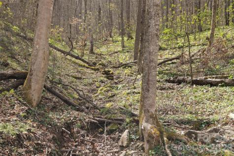 23 Forbidden Cove Waynesville NC 28785