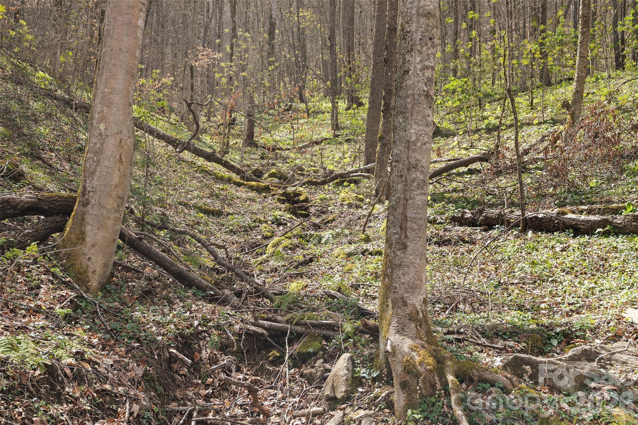 23 Forbidden Cove Waynesville NC 28785