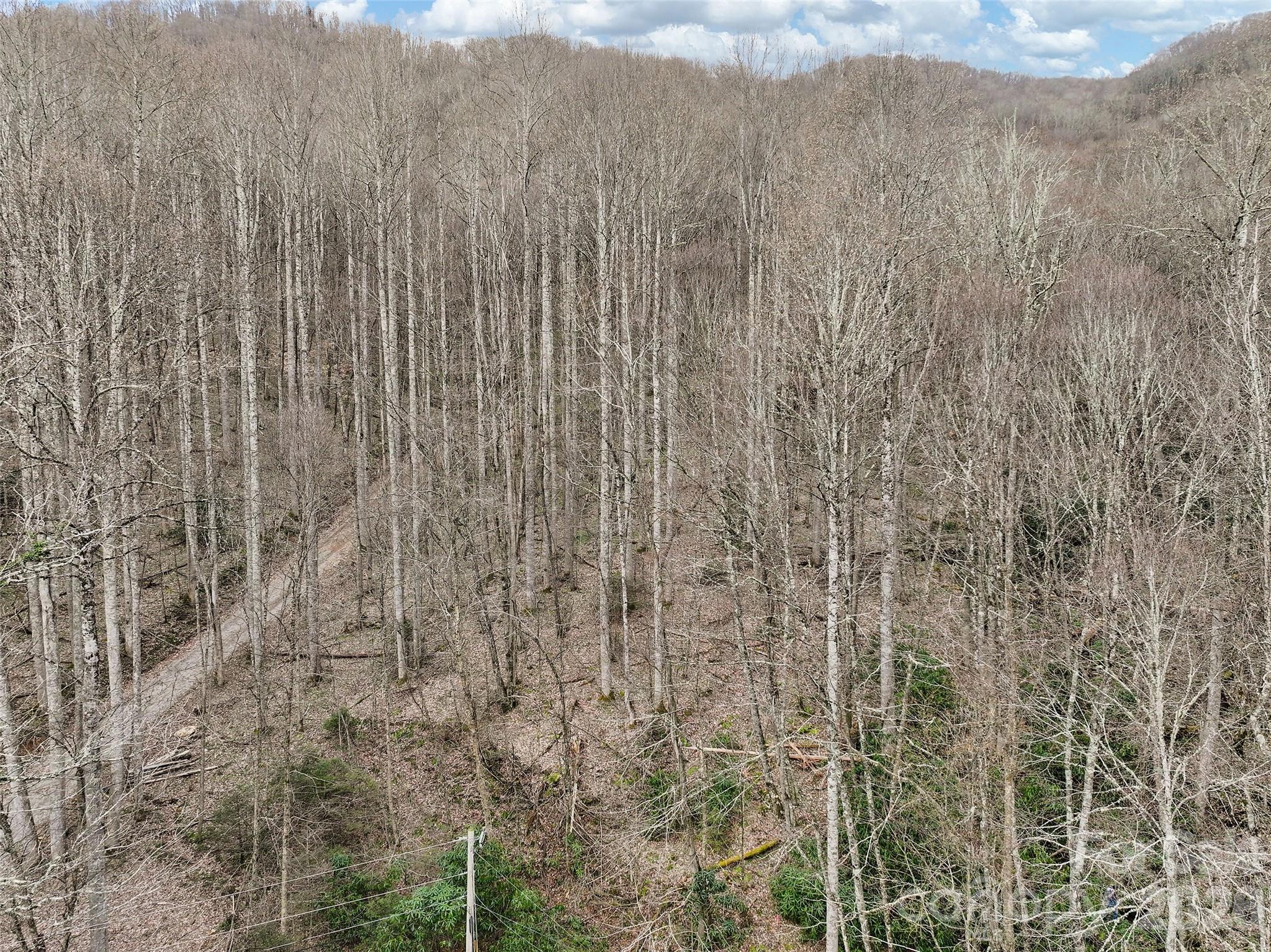 23 Forbidden Cove Waynesville NC 28785