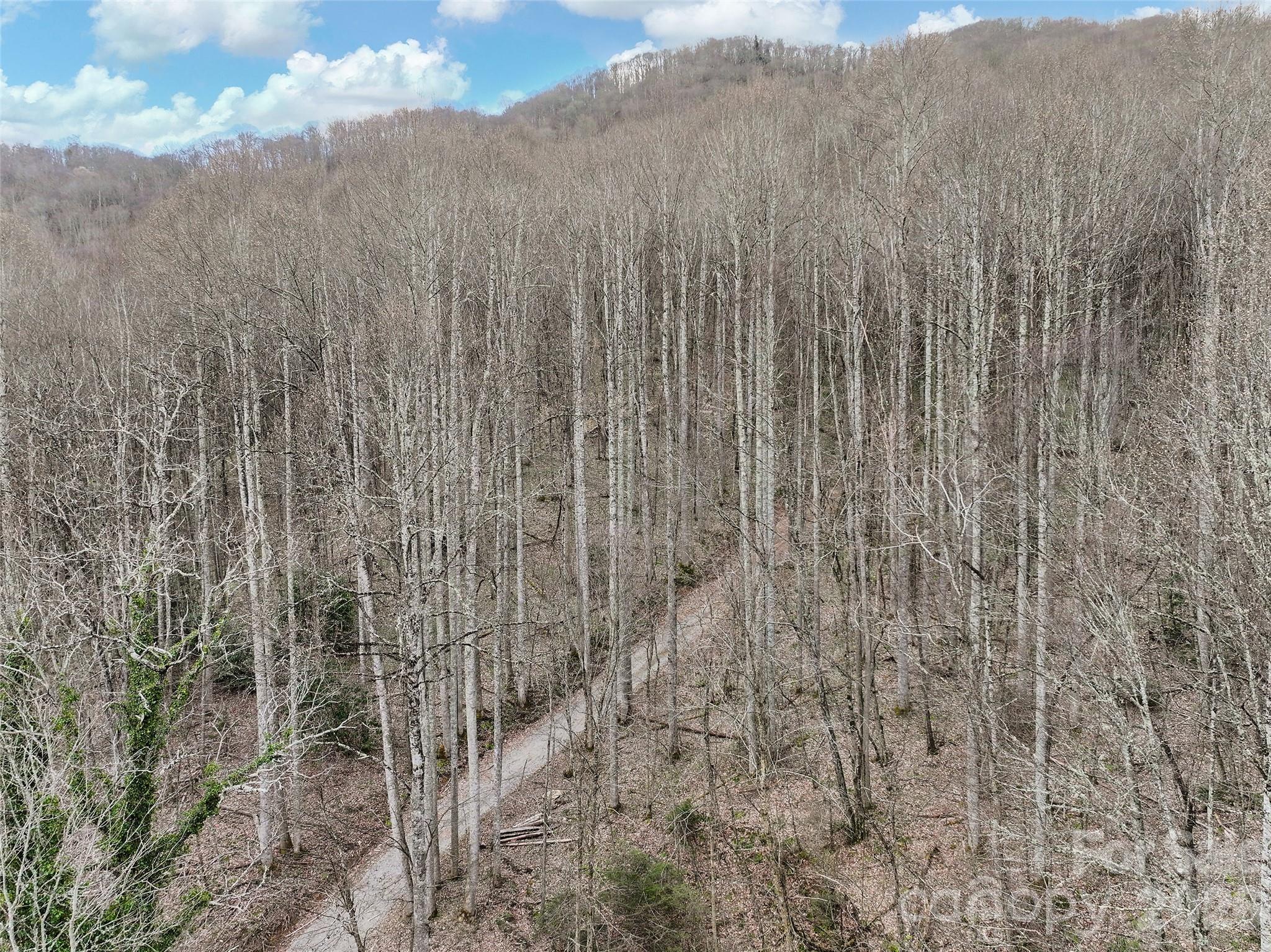 23 Forbidden Cove Waynesville NC 28785