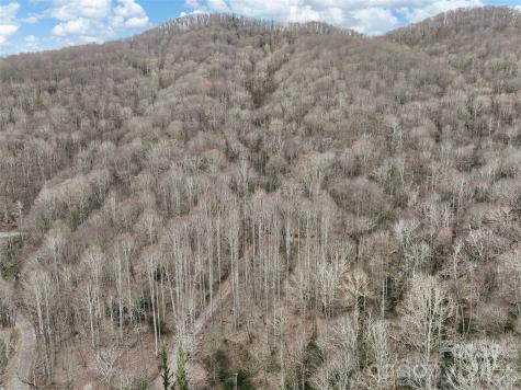 23 Forbidden Cove Waynesville NC 28785
