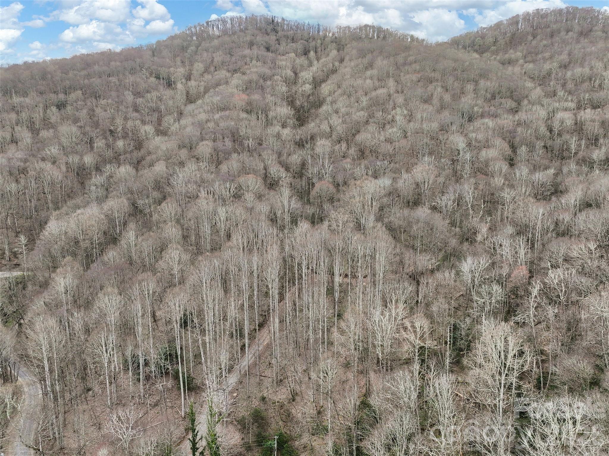 23 Forbidden Cove Waynesville NC 28785