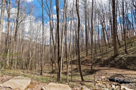23 Forbidden Cove Waynesville NC 28785