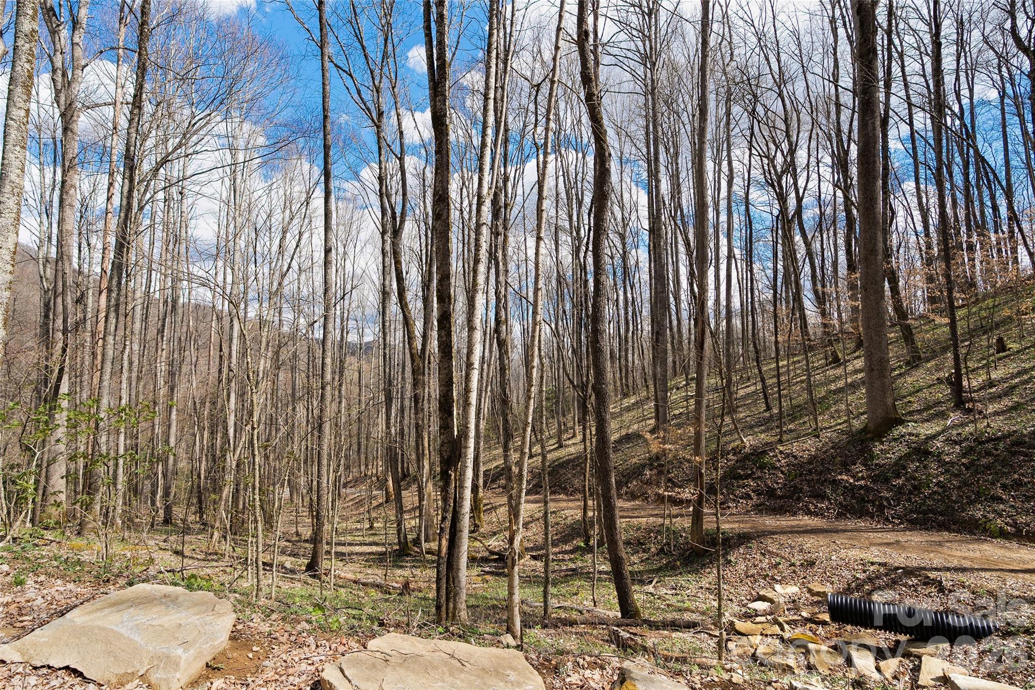 23 Forbidden Cove Waynesville NC 28785