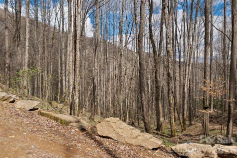 23 Forbidden Cove Waynesville NC 28785