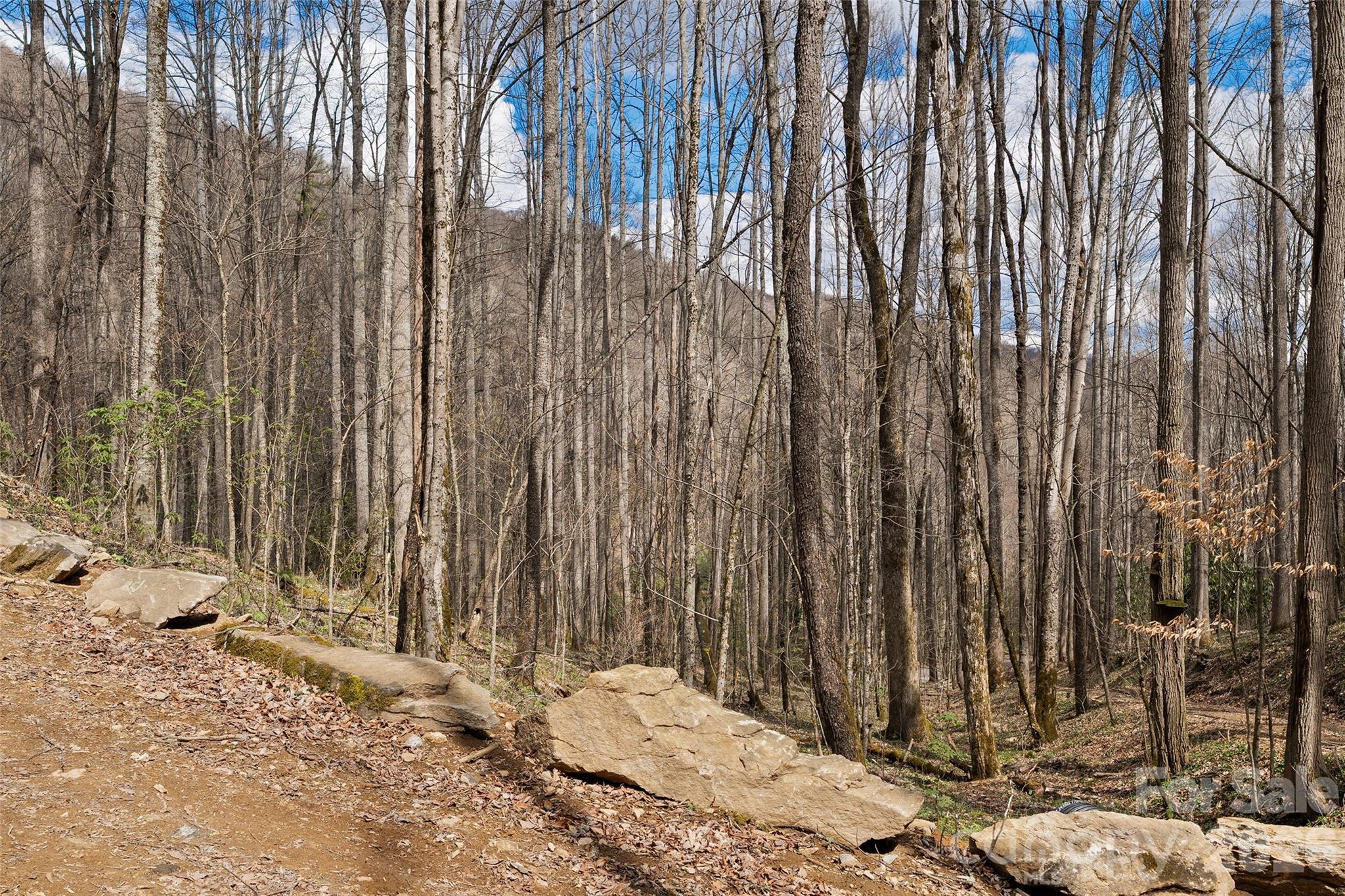 23 Forbidden Cove Waynesville NC 28785