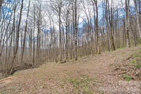 23 Forbidden Cove Waynesville NC 28785