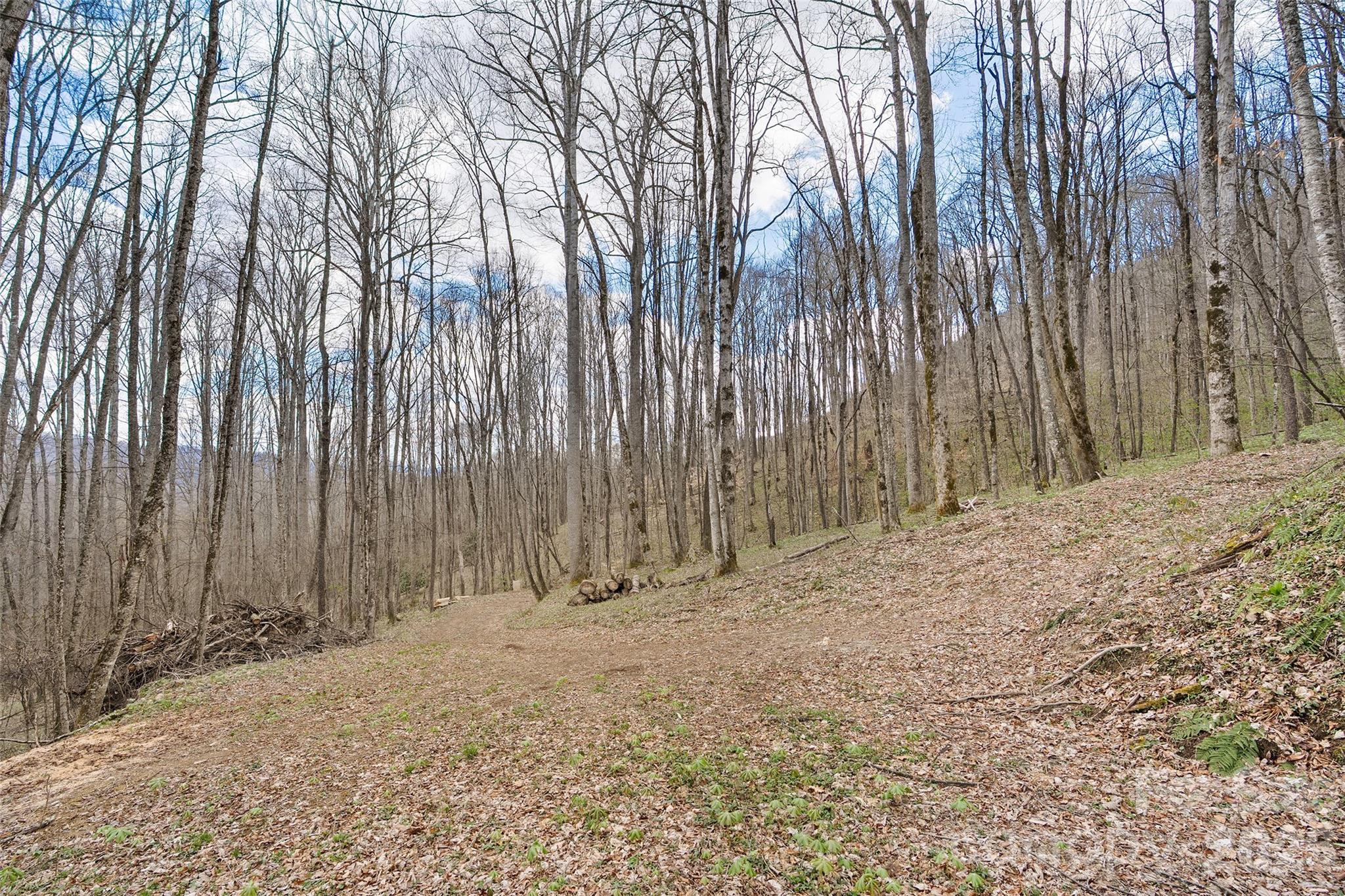 23 Forbidden Cove Waynesville NC 28785