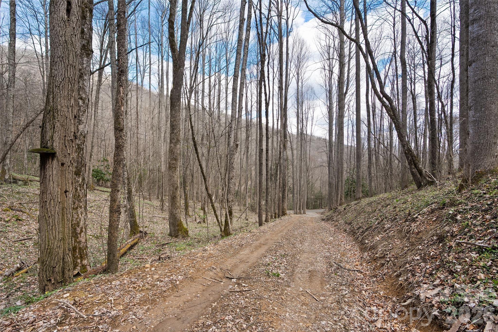 23 Forbidden Cove Waynesville NC 28785