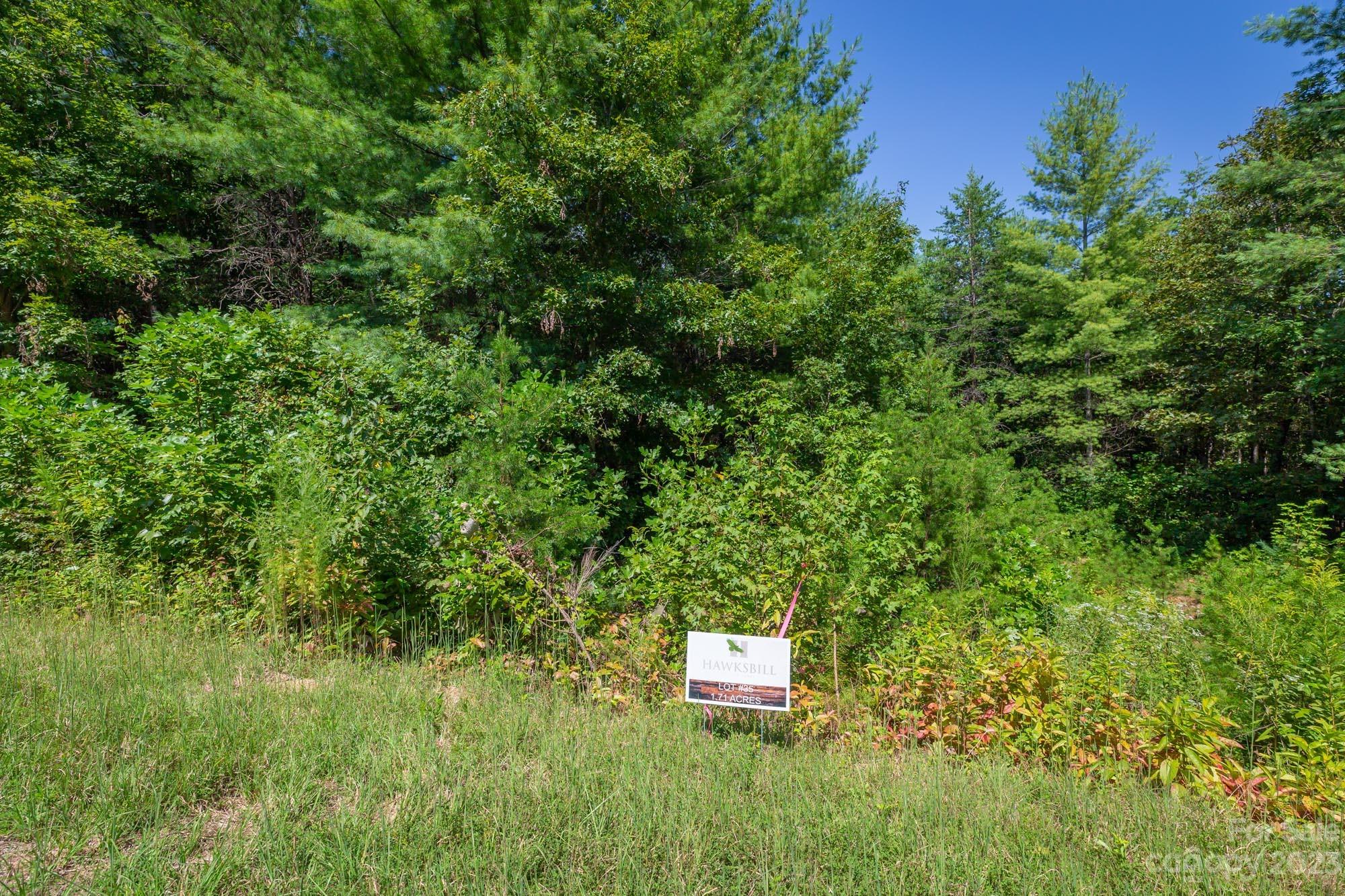 1101 Greene Court Morganton NC 28655