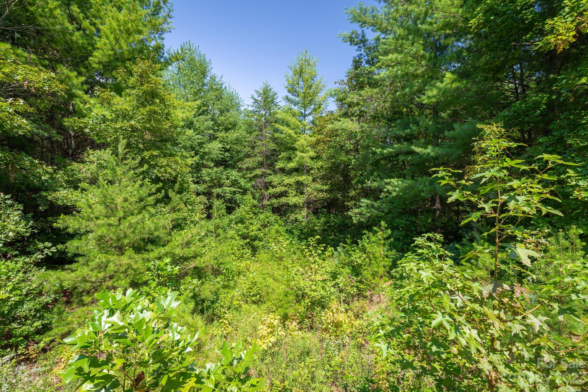 1101 Greene Court Morganton NC 28655