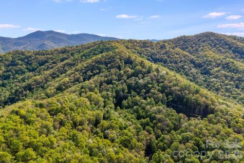 785 Laurel Spring Drive Bryson City NC 28713