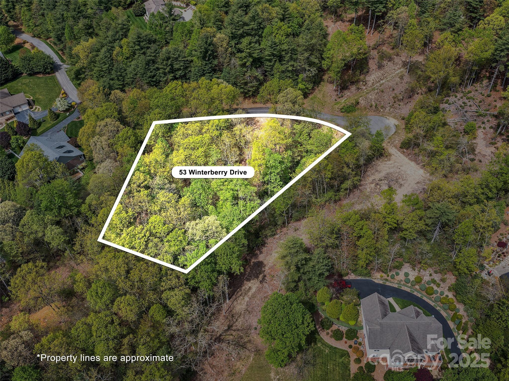 Lot #53 Winterberry Drive Hendersonville NC 28739