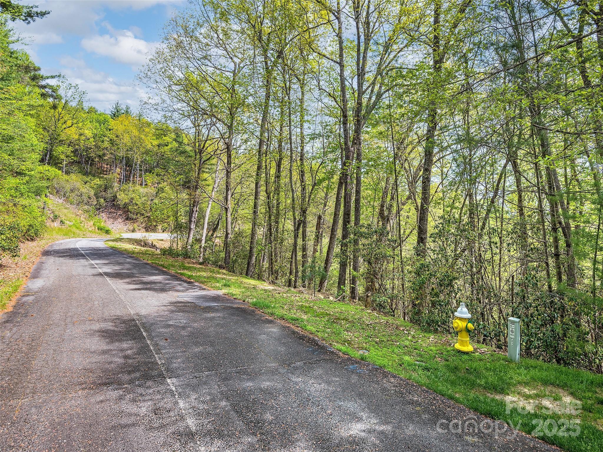 Lot #53 Winterberry Drive Hendersonville NC 28739