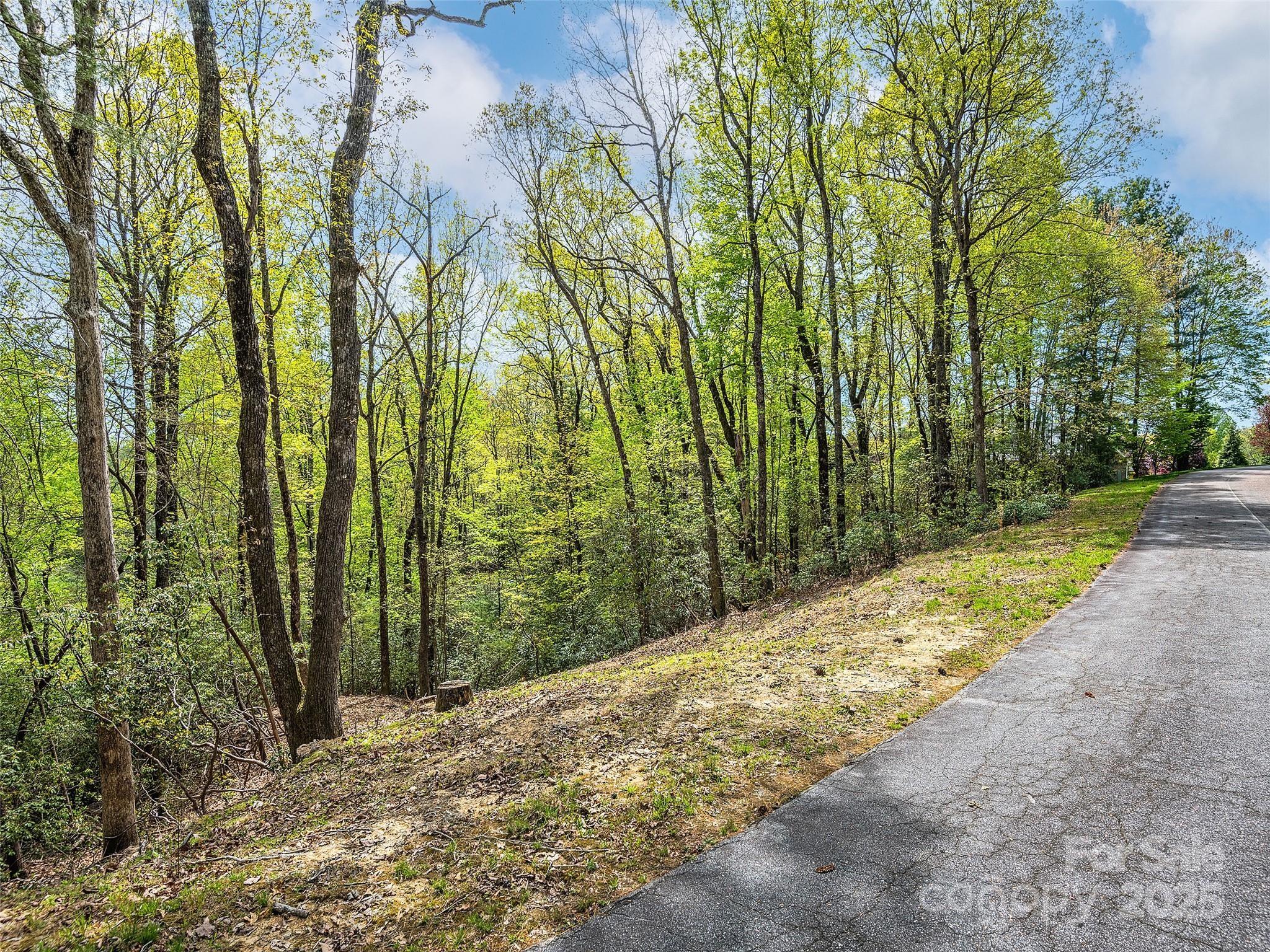 Lot #53 Winterberry Drive Hendersonville NC 28739