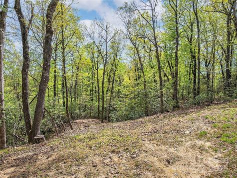 Lot #53 Winterberry Drive Hendersonville NC 28739