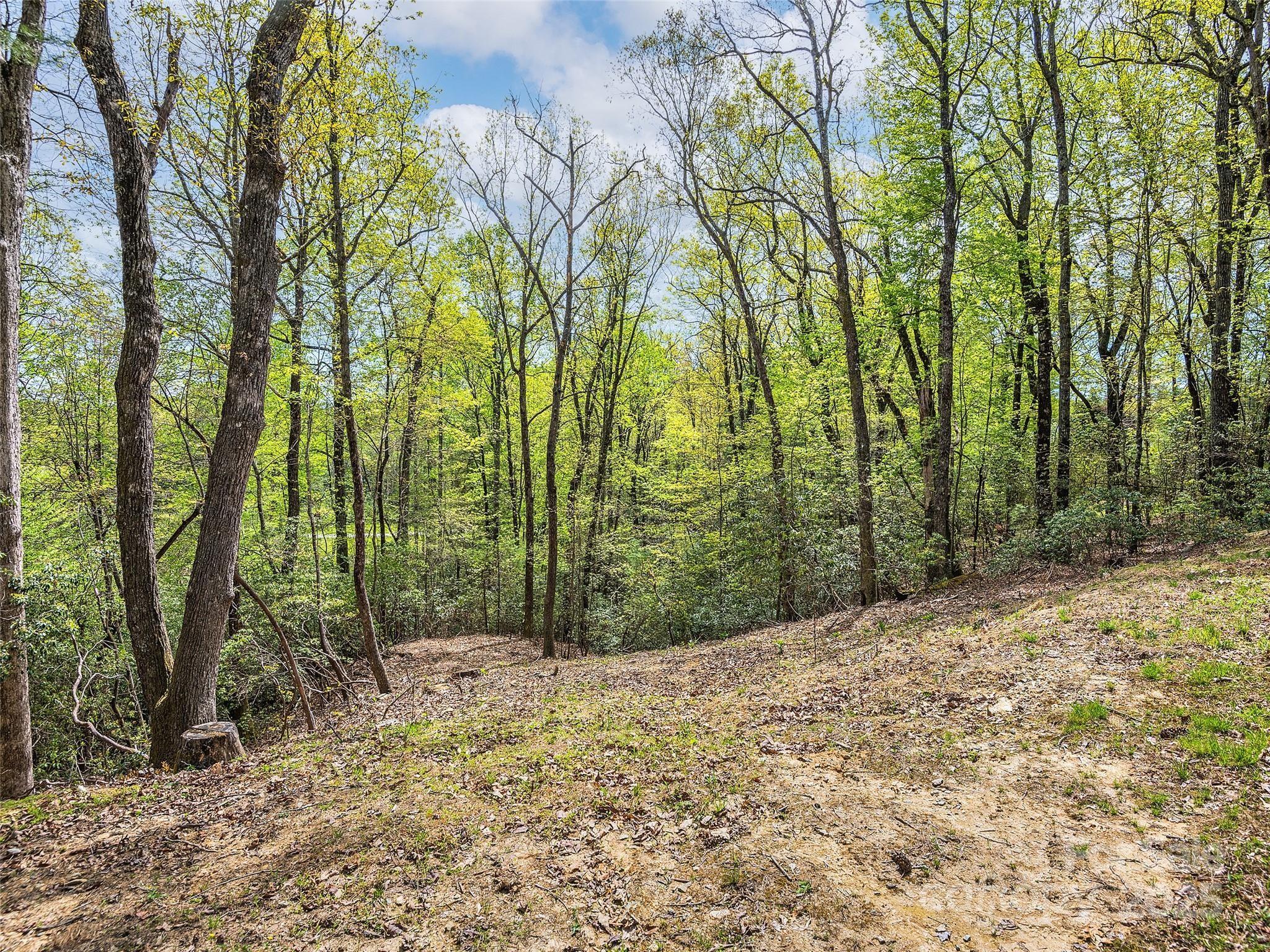 Lot #53 Winterberry Drive Hendersonville NC 28739