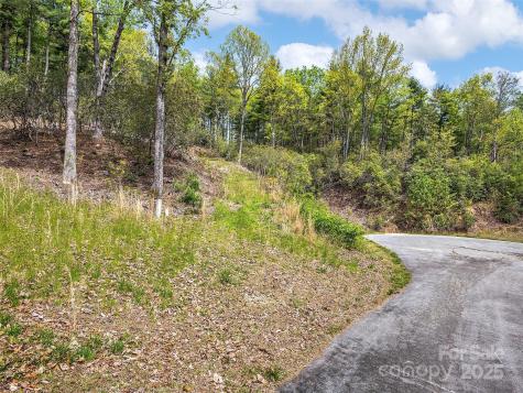 Lot #53 Winterberry Drive Hendersonville NC 28739