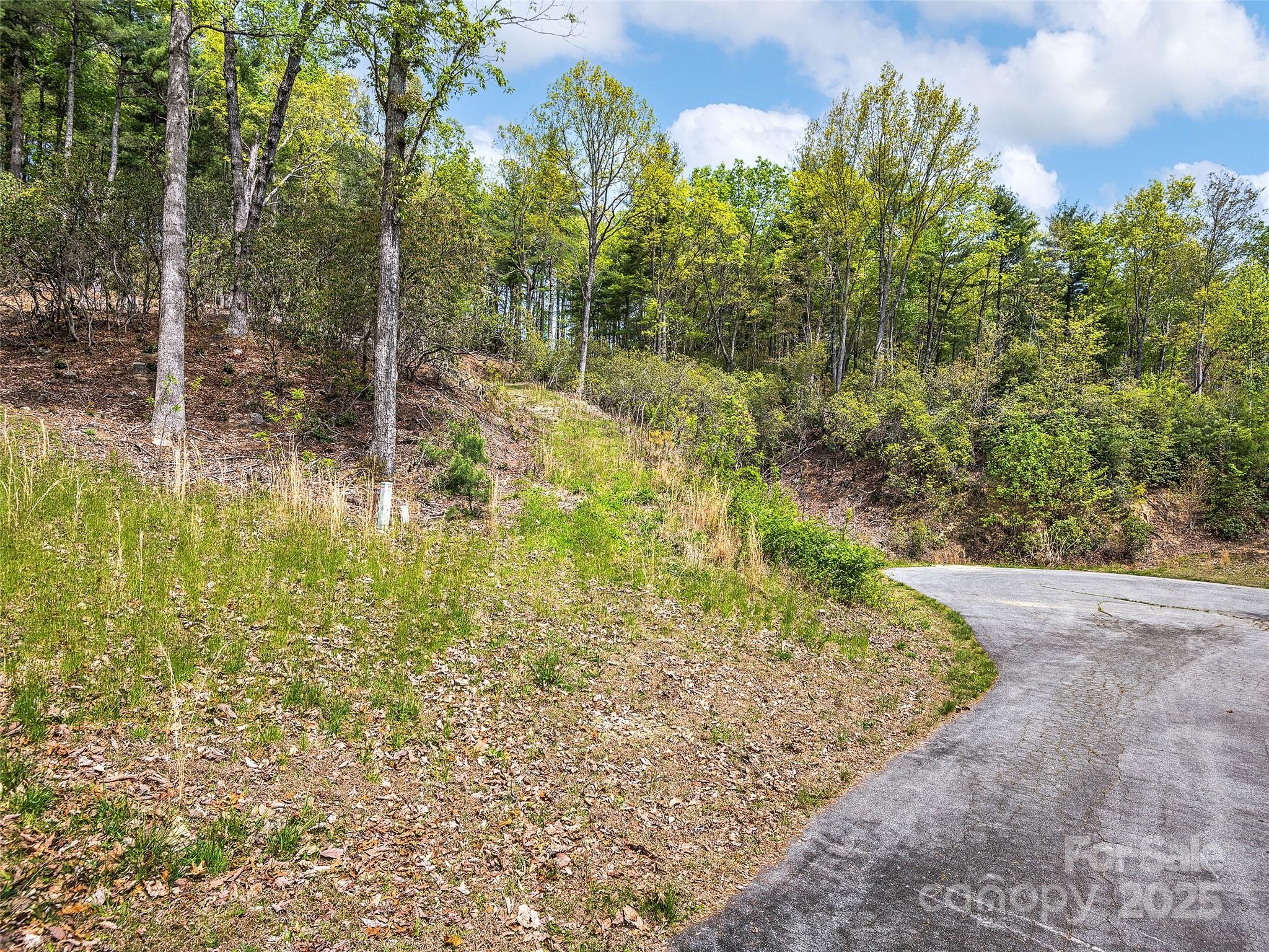Lot #53 Winterberry Drive Hendersonville NC 28739