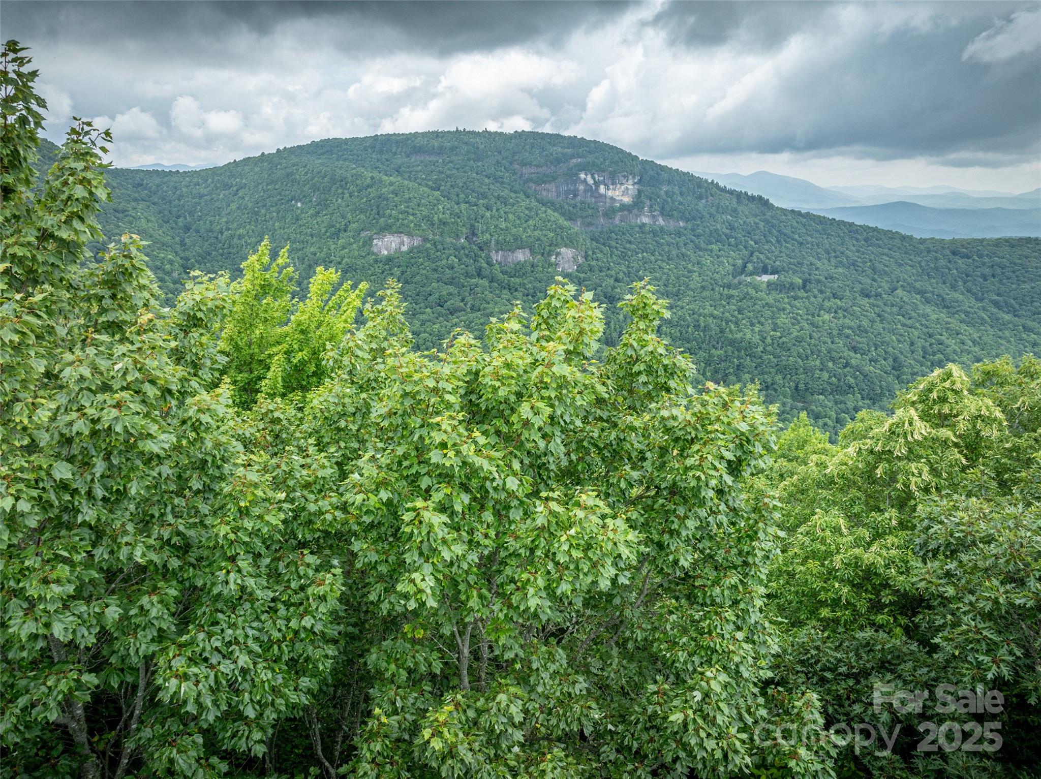 000 Meadow Ridge Drive Lake Toxaway NC 28747