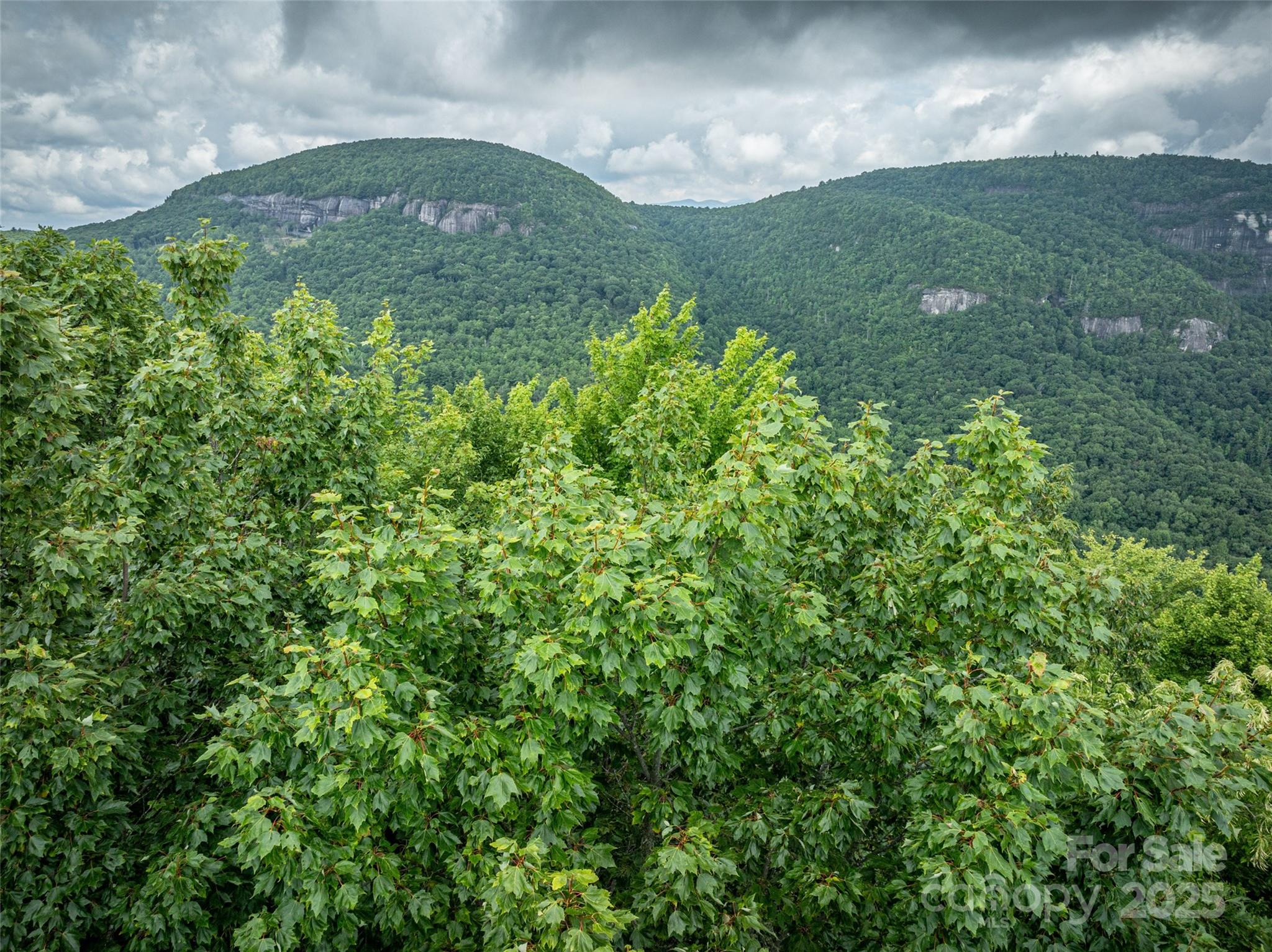 000 Meadow Ridge Drive Lake Toxaway NC 28747