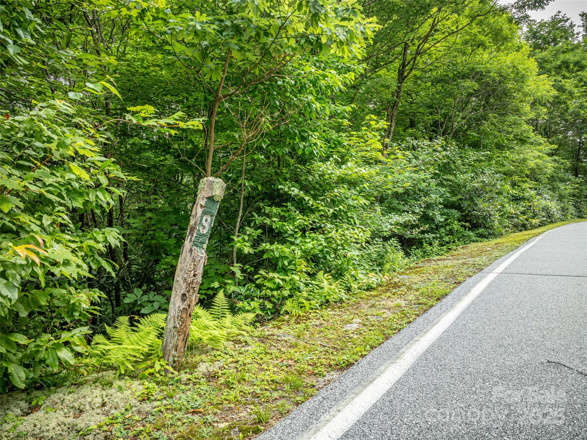 000 Meadow Ridge Drive Lake Toxaway NC 28747
