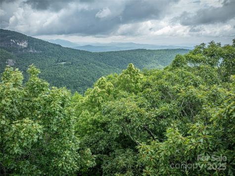 000 Meadow Ridge Drive Lake Toxaway NC 28747