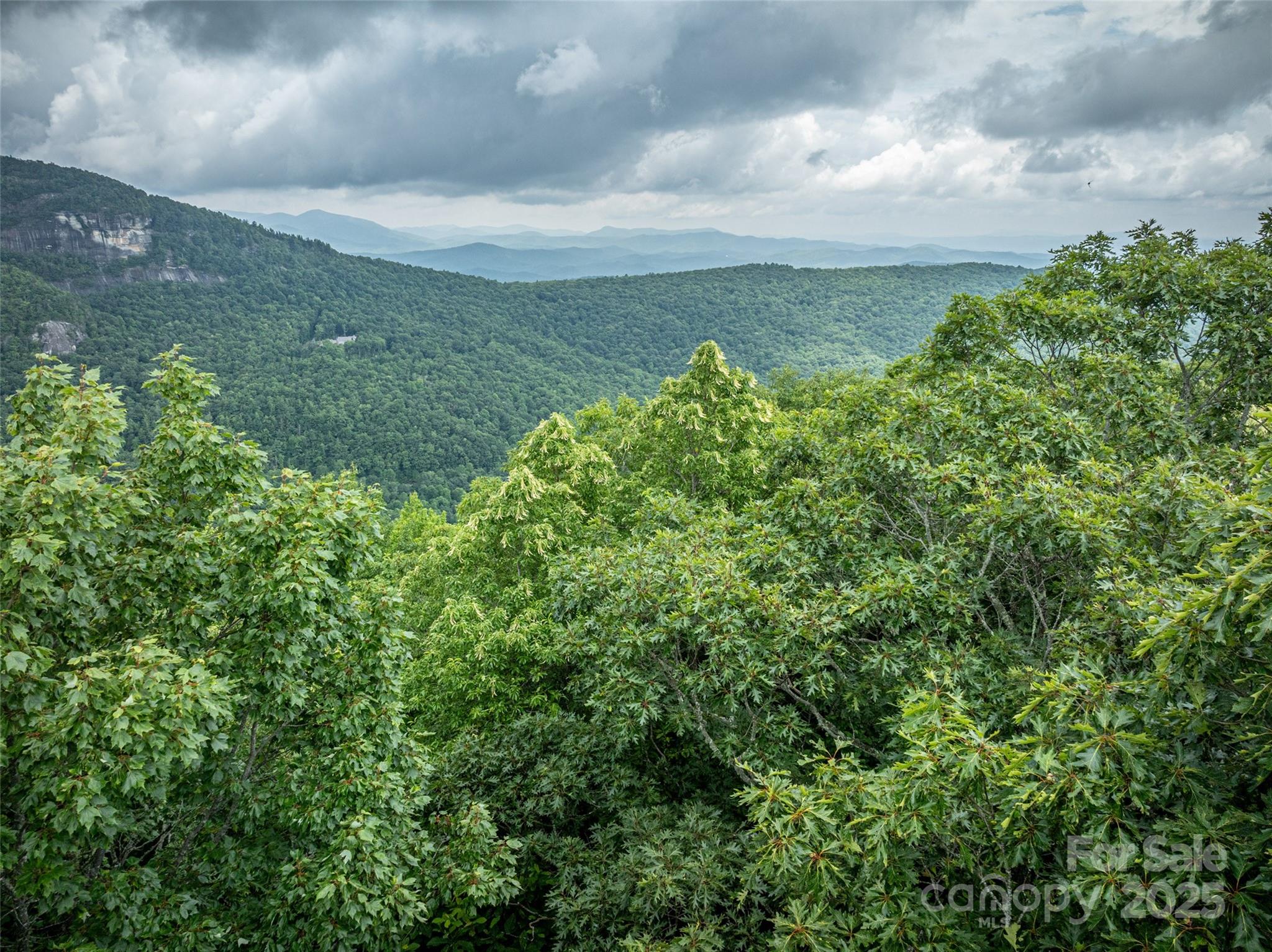 000 Meadow Ridge Drive Lake Toxaway NC 28747