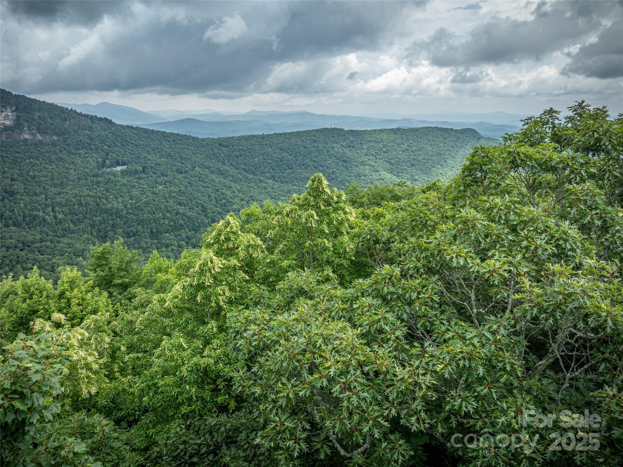 000 Meadow Ridge Drive Lake Toxaway NC 28747