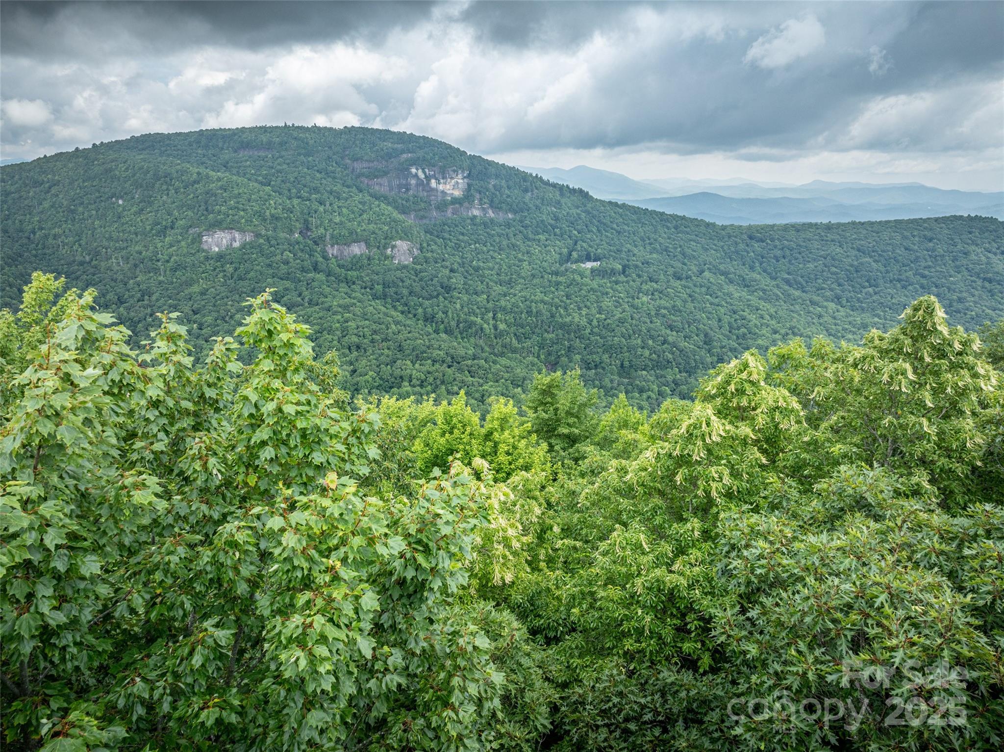 000 Meadow Ridge Drive Lake Toxaway NC 28747