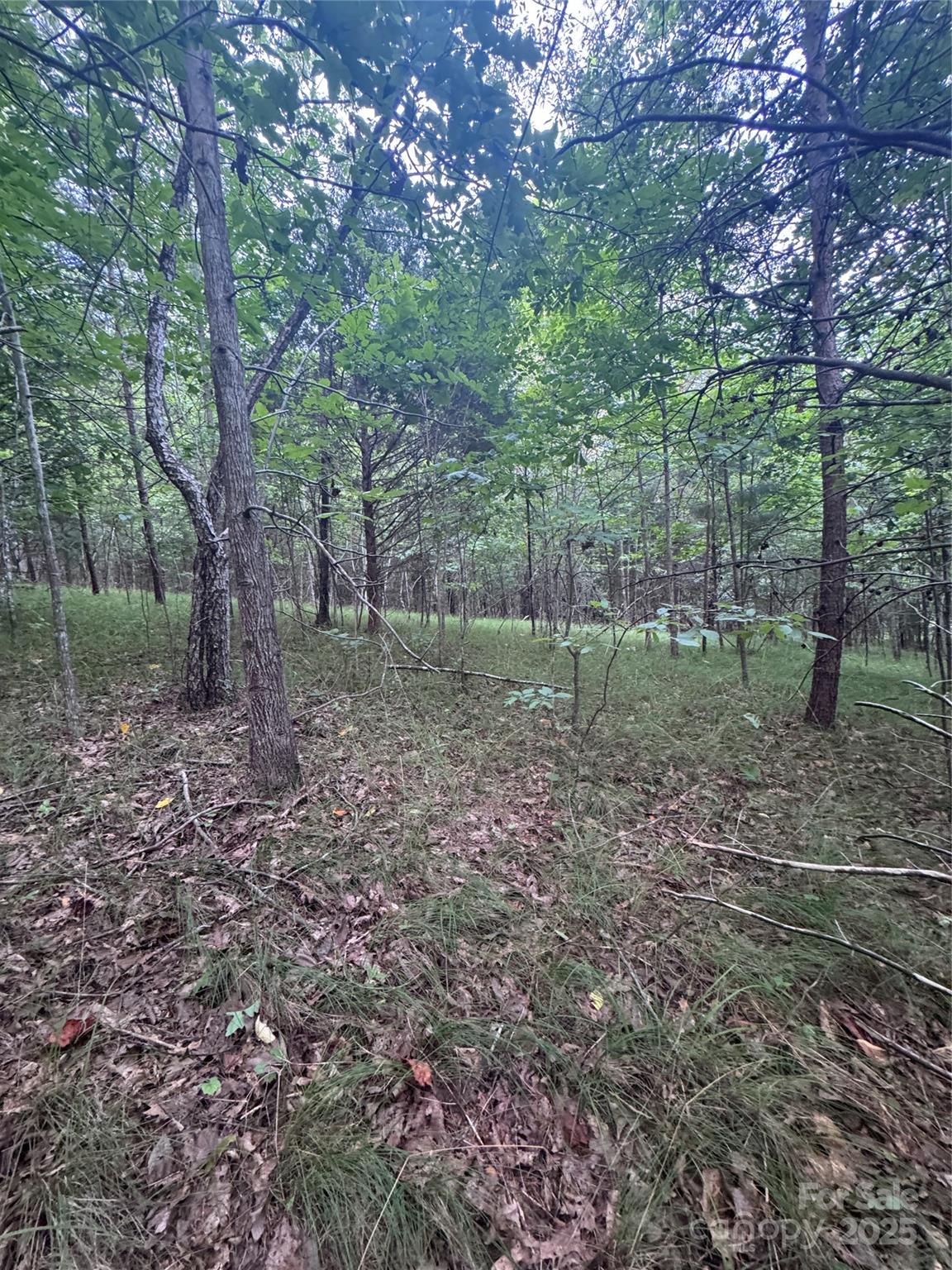 0 Cross Creek Drive Rutherfordton NC