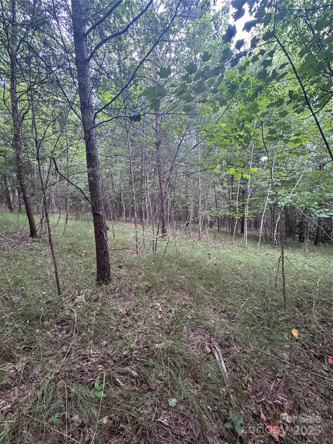 0 Cross Creek Drive Rutherfordton NC