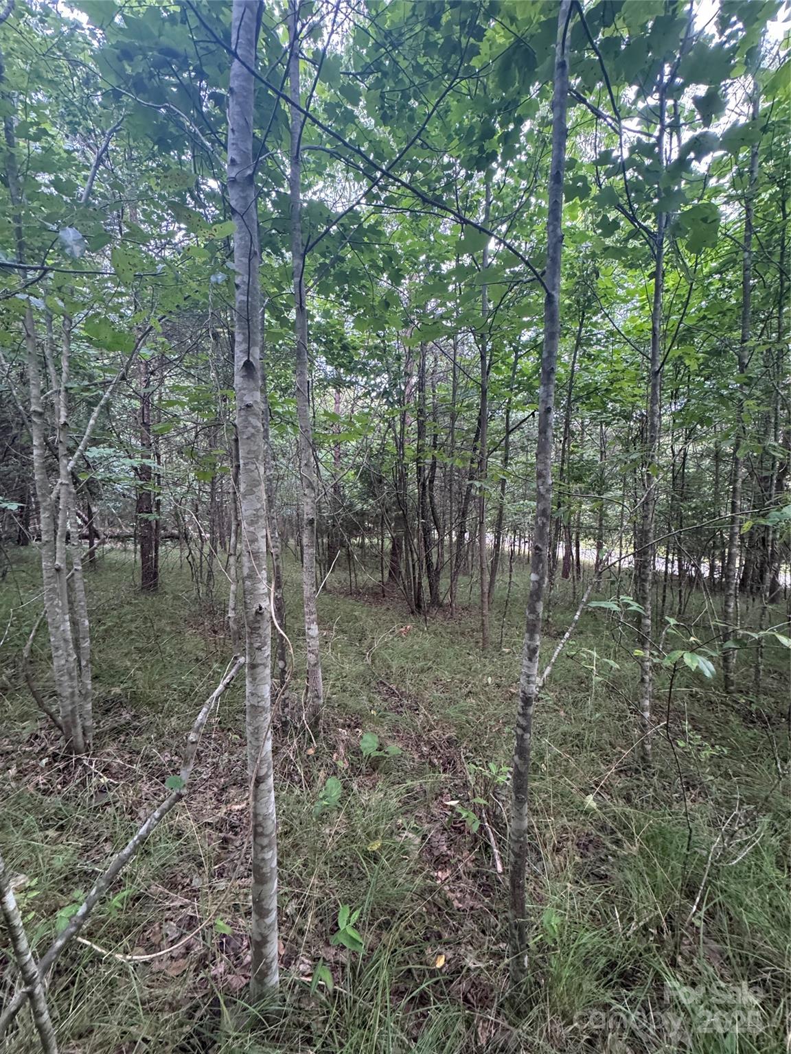 0 Cross Creek Drive Rutherfordton NC
