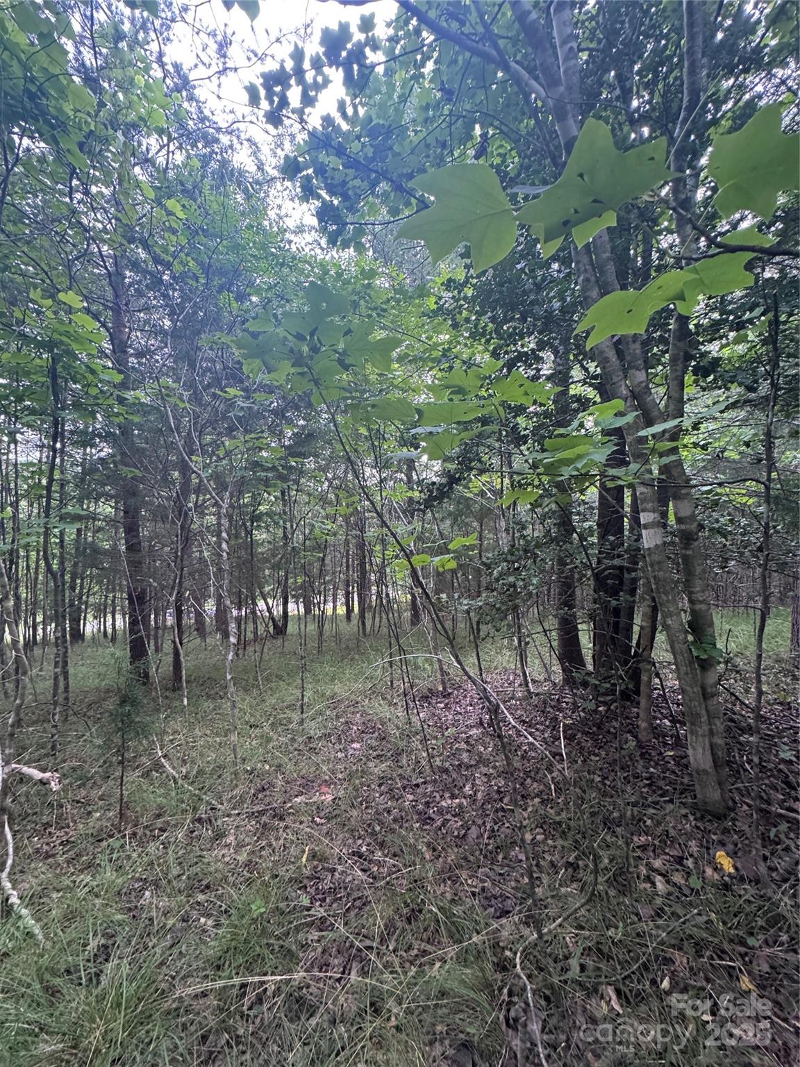 0 Cross Creek Drive Rutherfordton NC
