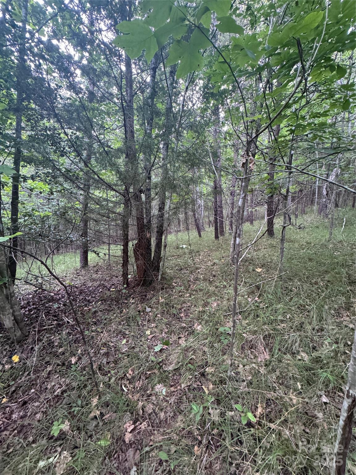 0 Cross Creek Drive Rutherfordton NC