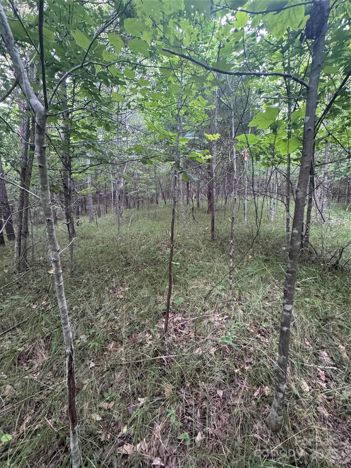 0 Cross Creek Drive Rutherfordton NC
