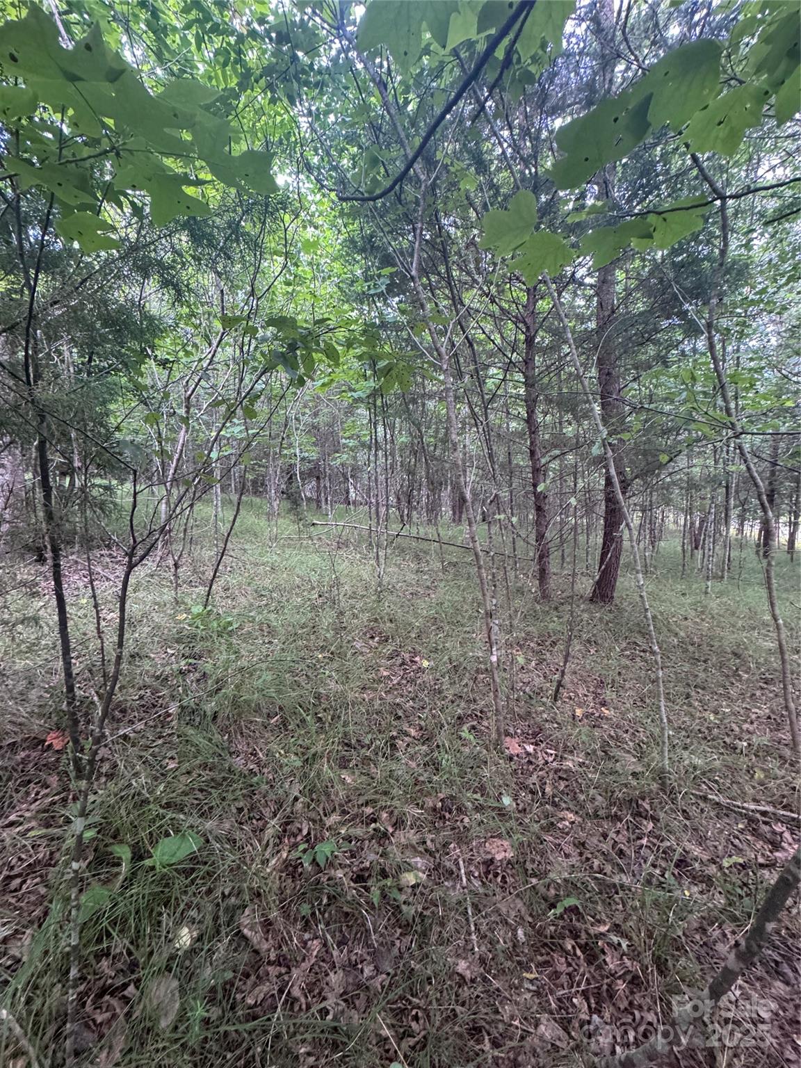 0 Cross Creek Drive Rutherfordton NC