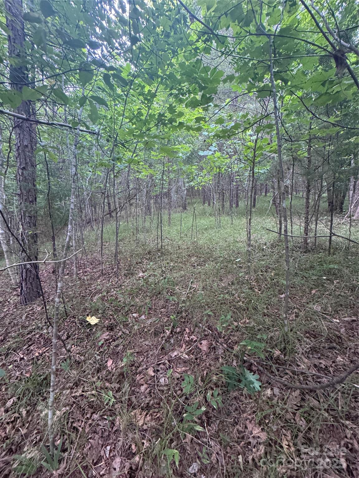 0 Cross Creek Drive Rutherfordton NC