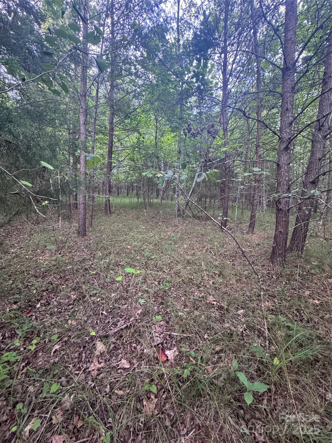 0 Cross Creek Drive Rutherfordton NC